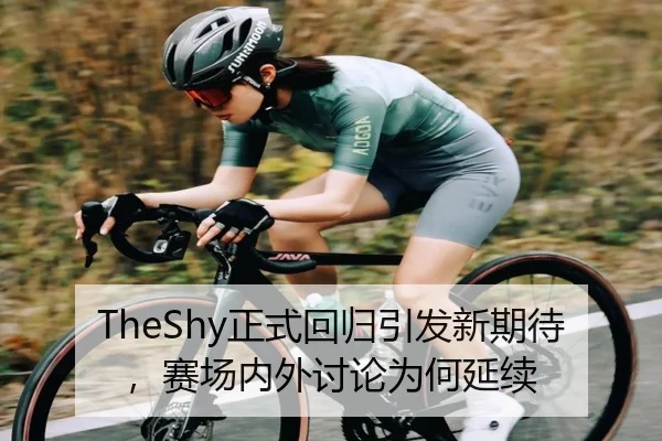 zheng-shi-hui-gui-yin-fa-xin-qi-dai-sai-chang-nei-wai-tao-lun-wei-he-yan-xu-1-799.jpg | hth